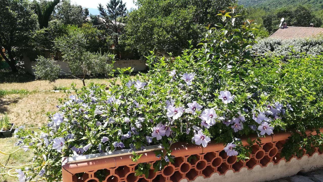 Villa Quinissole Sainte-Anastasie-sur-Issole Εξωτερικό φωτογραφία